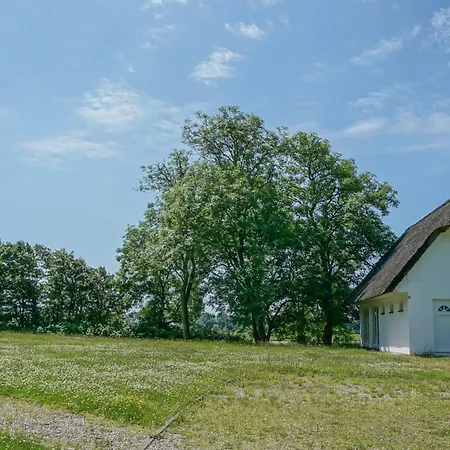 Dünenwarft West Tatil Evi