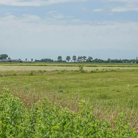 Dünenwarft West * Tönning