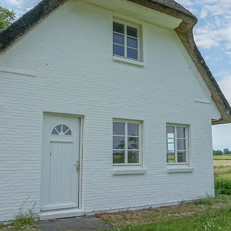 Dünenwarft West Tatil Evi *